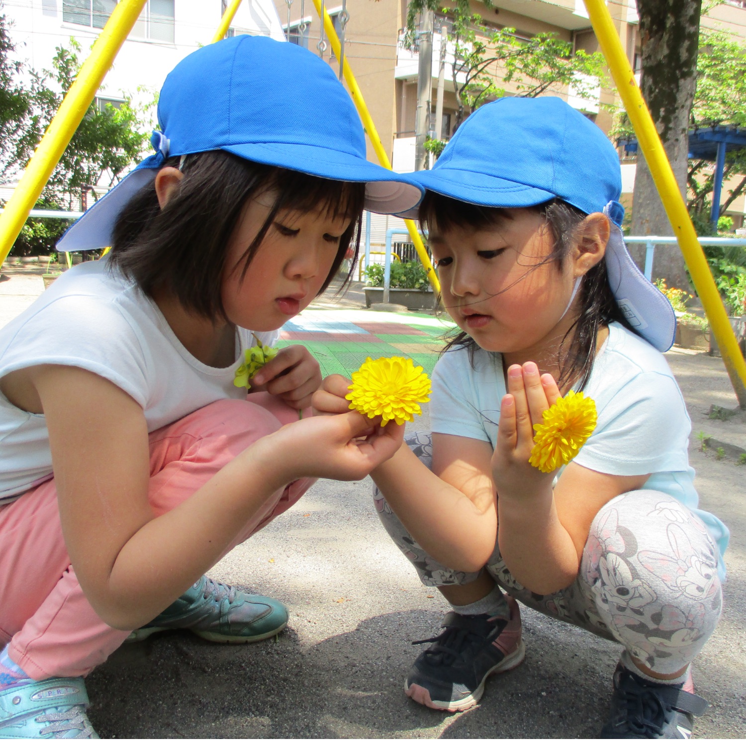 簡野学園 ふぞく仲六郷保育園