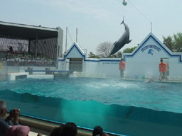 年長遠足：品川水族館